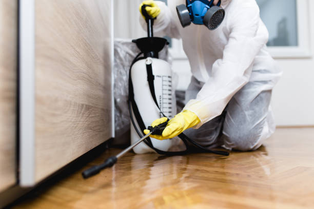 Best Emergency Pest Control  in Pomona, CA