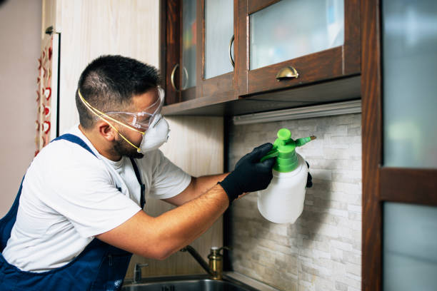 Best Wasp Removal Services  in Pomona, CA