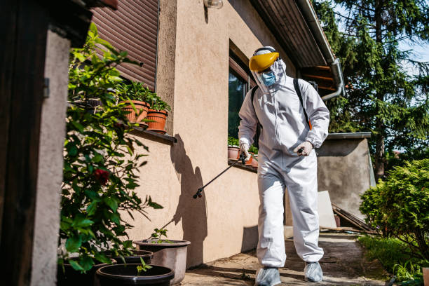 Best Residential Pest Control  in Pomona, CA