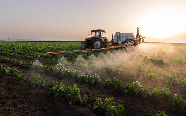 Best Wildlife Control Services  in Pomona, CA