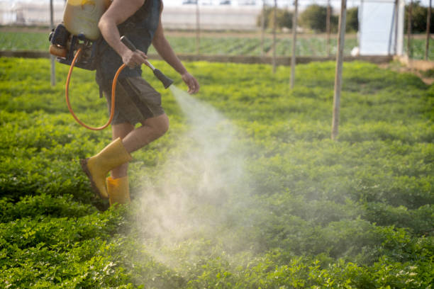 Best Commercial Pest Control Services  in Pomona, CA