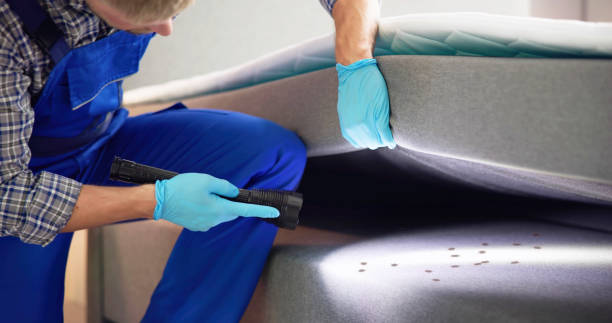 Best Affordable Pest Control Services  in Pomona, CA
