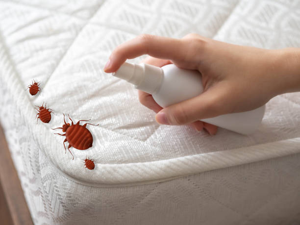 Best Exterminator Services  in Pomona, CA
