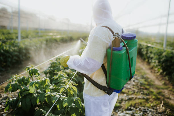 Best Local Pest Control Services  in Pomona, CA